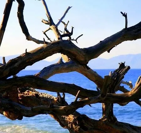 Demirci 4 Rum i privatbostad Kusadası