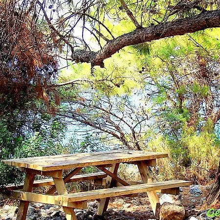 Demirci 4 Rum i privatbostad Kusadası