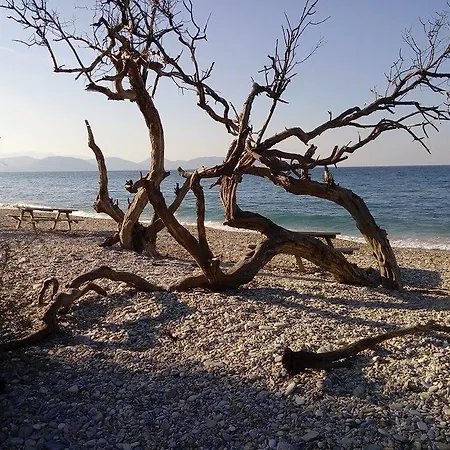 Demirci 4 Rum i privatbostad Kusadası
