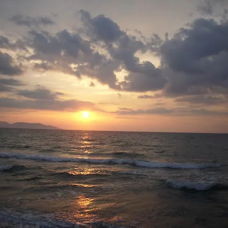 Demirci 4 Kusadası