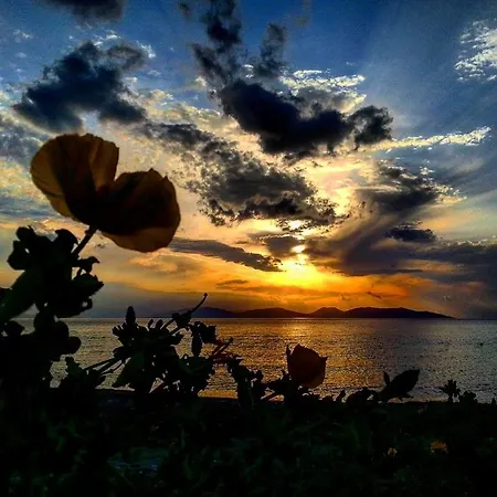 Demirci 4 Kusadası